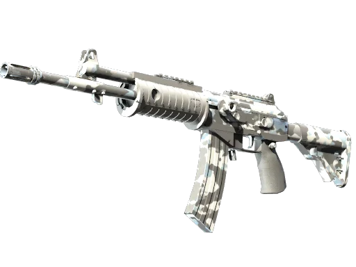 Galil AR | Winter Forest